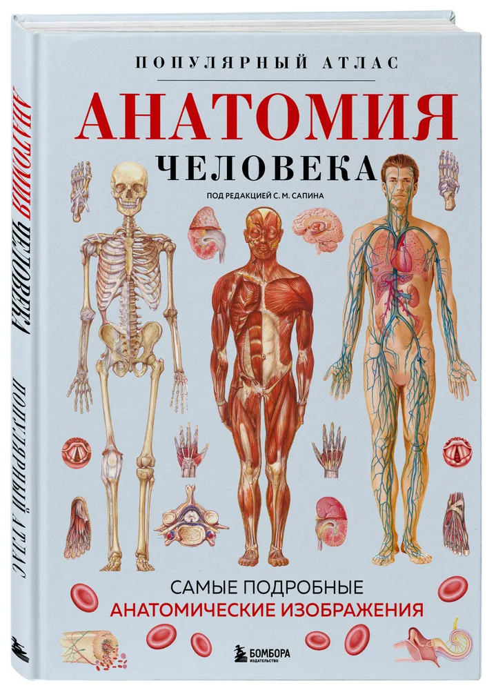 Анатомия человека. Популярный атлас. Самые подробные анатомические изображения